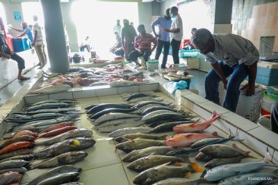 Male Fish Market