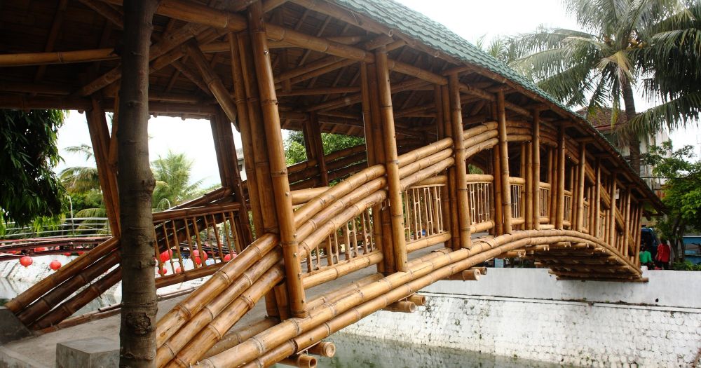 Bamboo Bridge