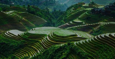 Longji Rice Terraces (Longsheng)