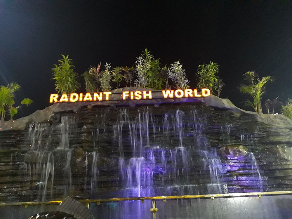 Radiant Fish World