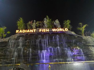 Radiant Fish World