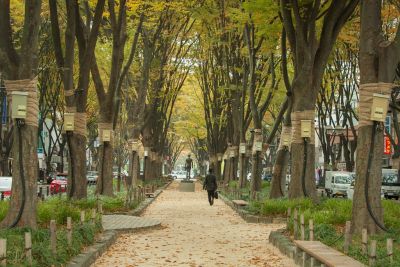 Jozenjidori Avenue