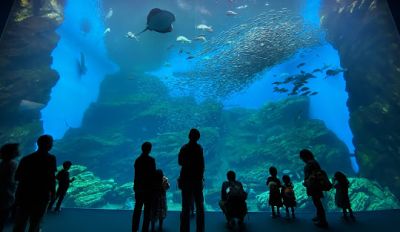 Sendai Uminomori Aquarium