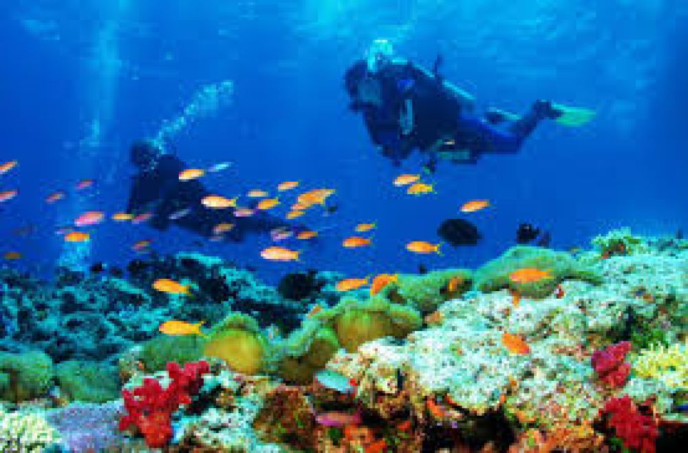 Coral Garden Diving Site