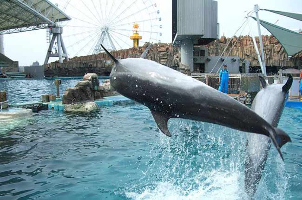 Port of Nagoya Public Aquarium