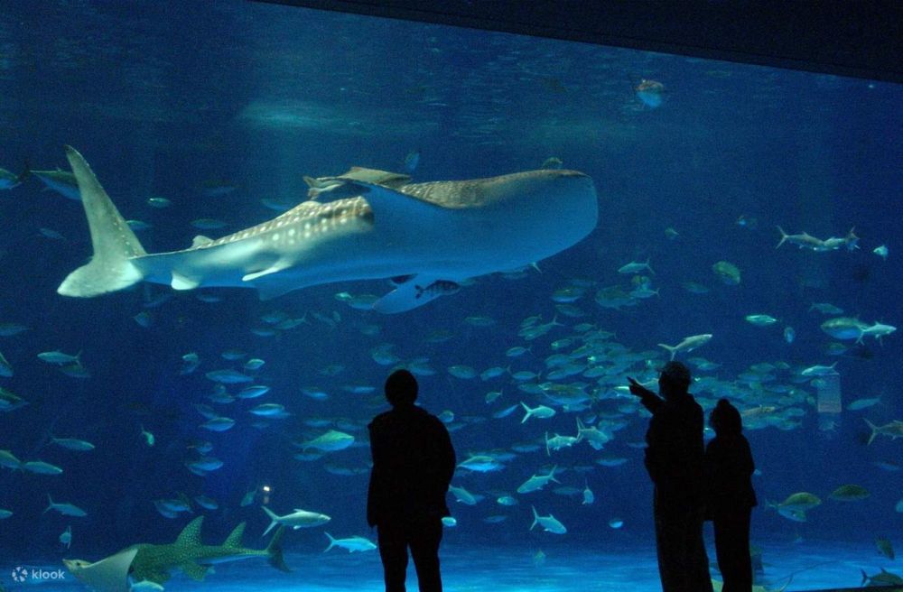 Kagoshima Aquarium