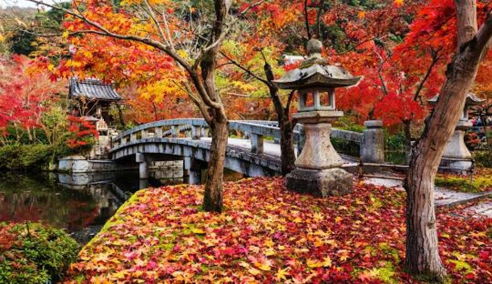 Eikando Zenrinji Temple