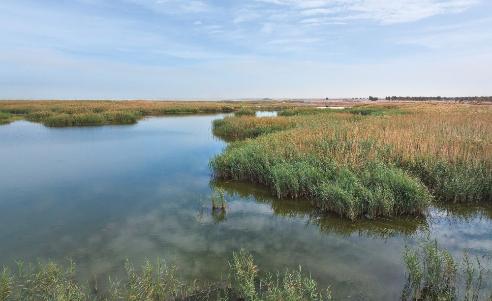 Jahra Pools Nature Reserve