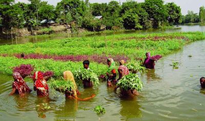 Floating Gardens