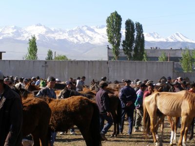 Karakol Animal Market