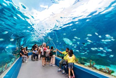 Cebu Ocean Park