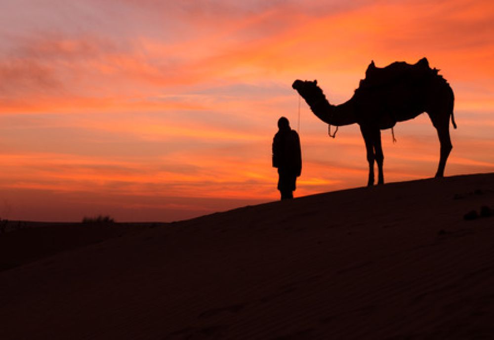 Al Jahra Desert