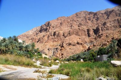 Wadi Tiwi