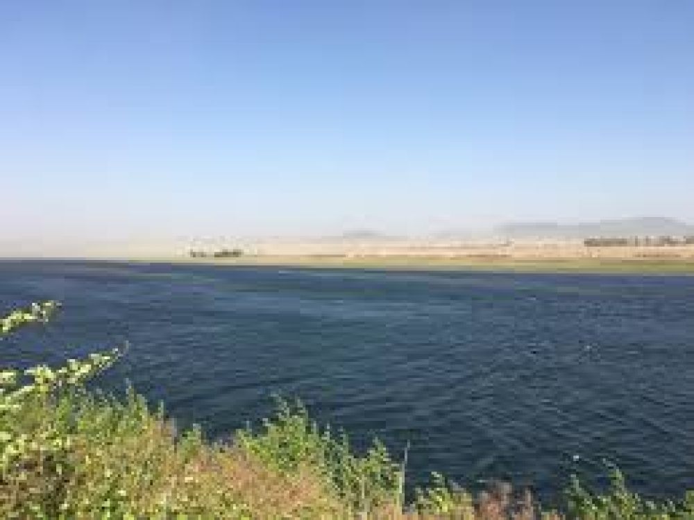 Sinuiju Yalu River Estuary Nature Reserve