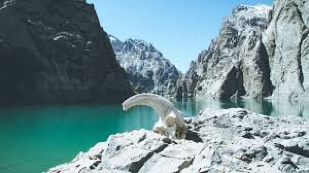 Best Time To Visit Naryn (Kyrgyzstan) In 2024 - 2025