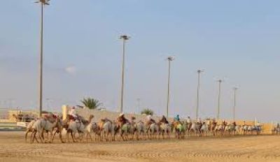 Qatar National Camel Race Track