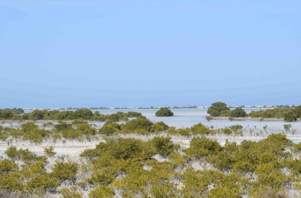 Umm Tais National Park