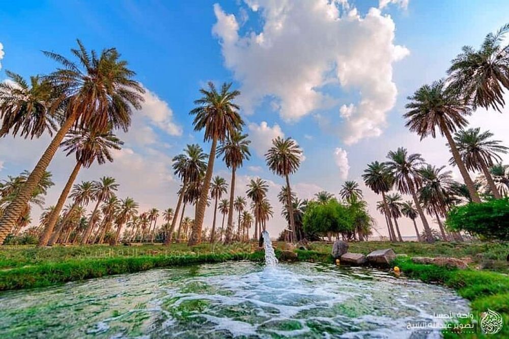 Al Ahsa Oasis