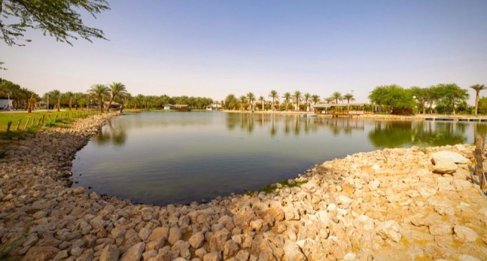 Al Ahsa National Park