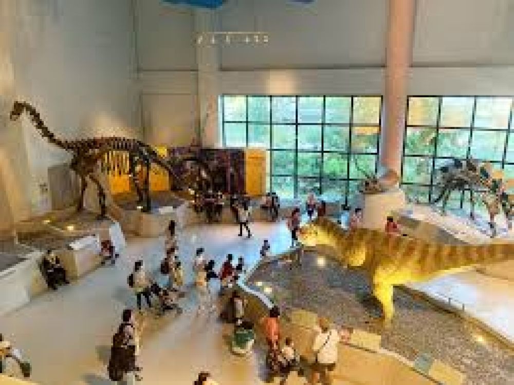 National Museum of Natural Science