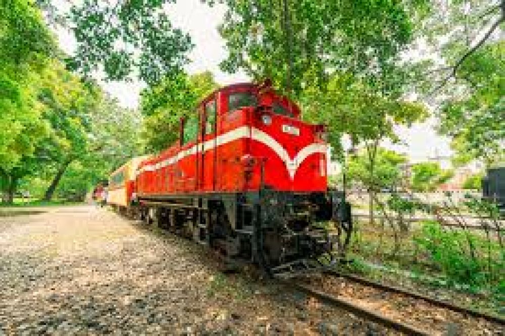 Alishan Forest Railway Garage Park