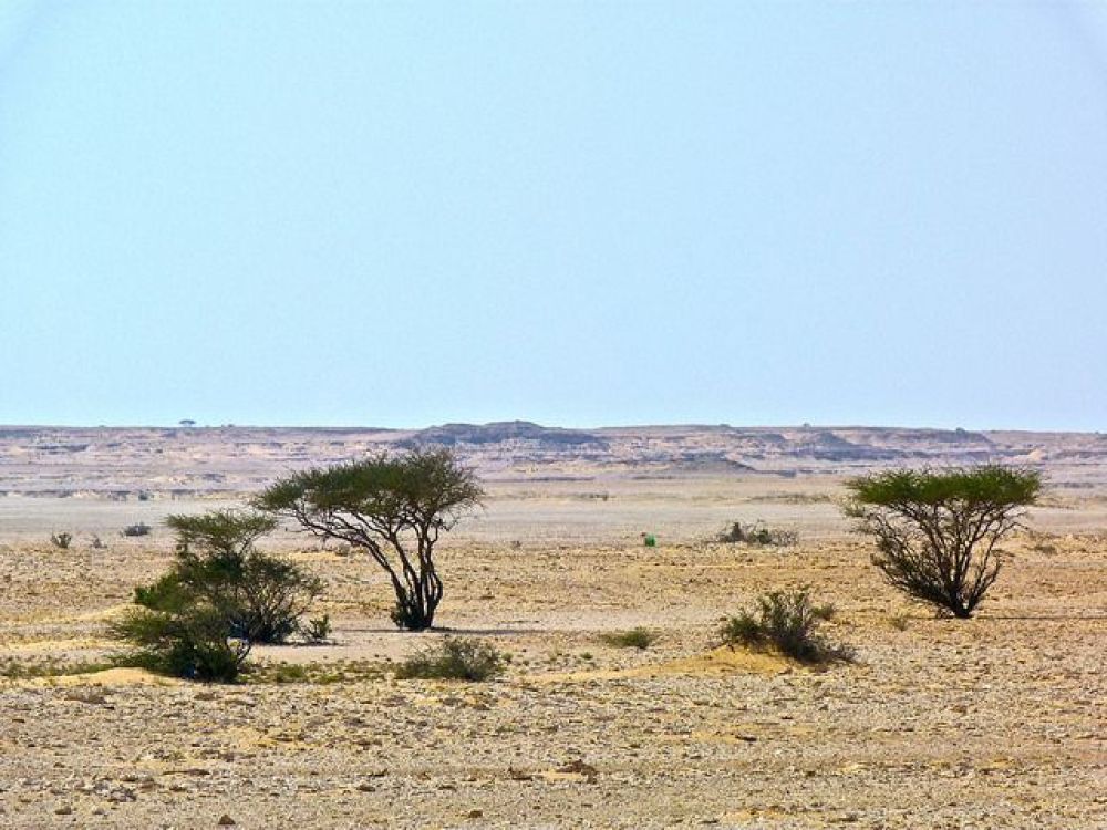 Al Kharrara Desert