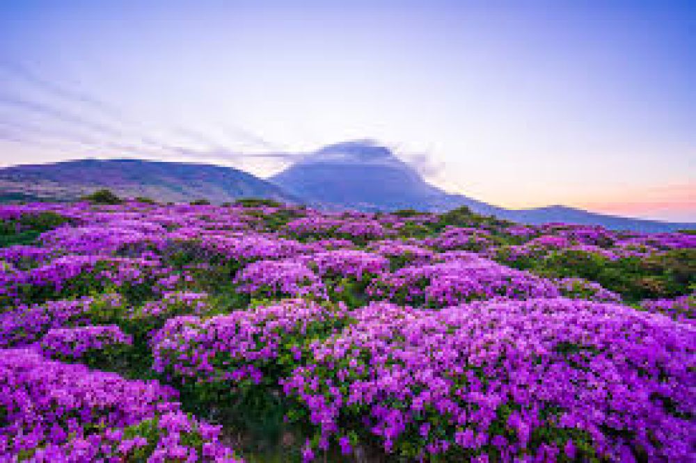 Mountain To Visit Near Hallasan National Park (Jeju) In 2025