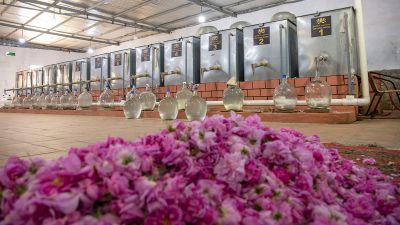 Taif Rose Factory