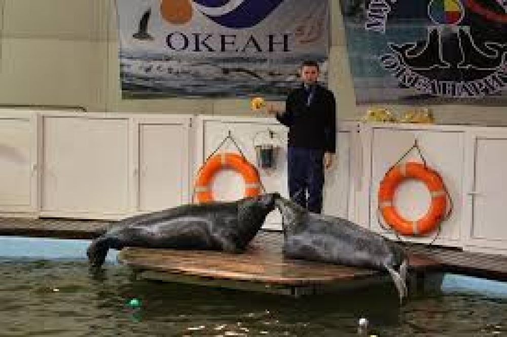 Murmansk Oceanarium