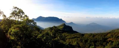 Taitudac Mountain terrenos