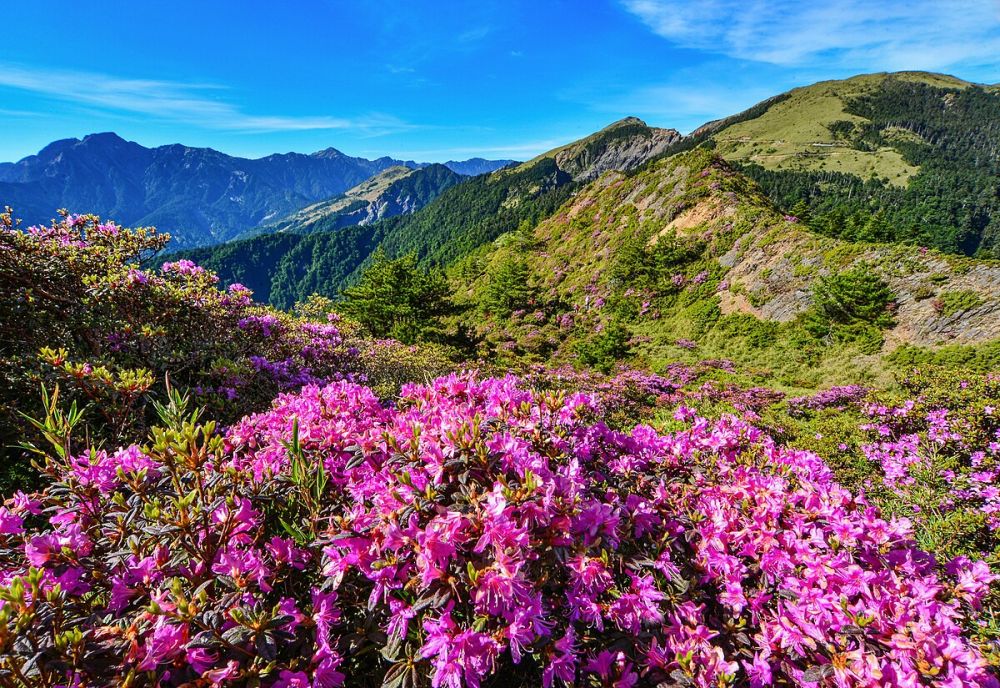 Hehuanshan