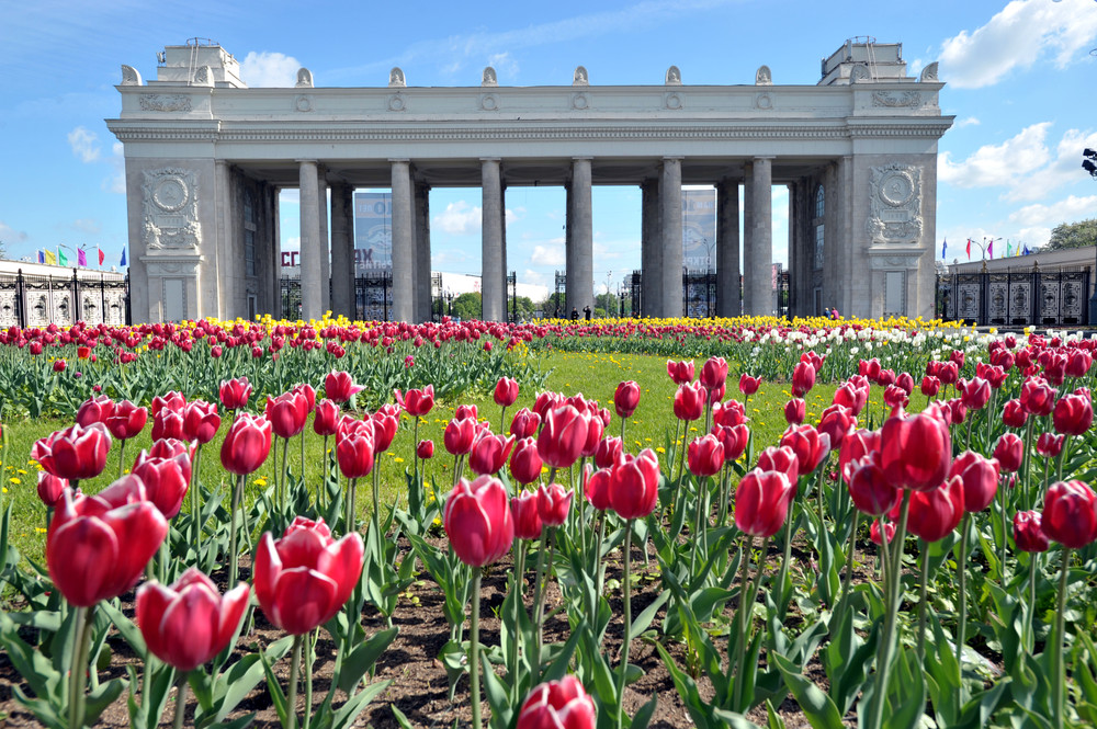 Gorky Park