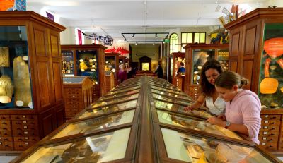 Sedgwick Museum of Earth Sciences