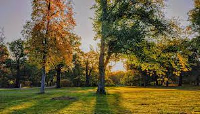 Clara Zetkin Park