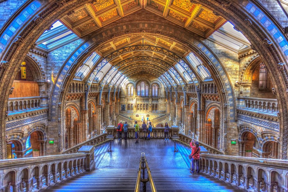 The Natural History Museum