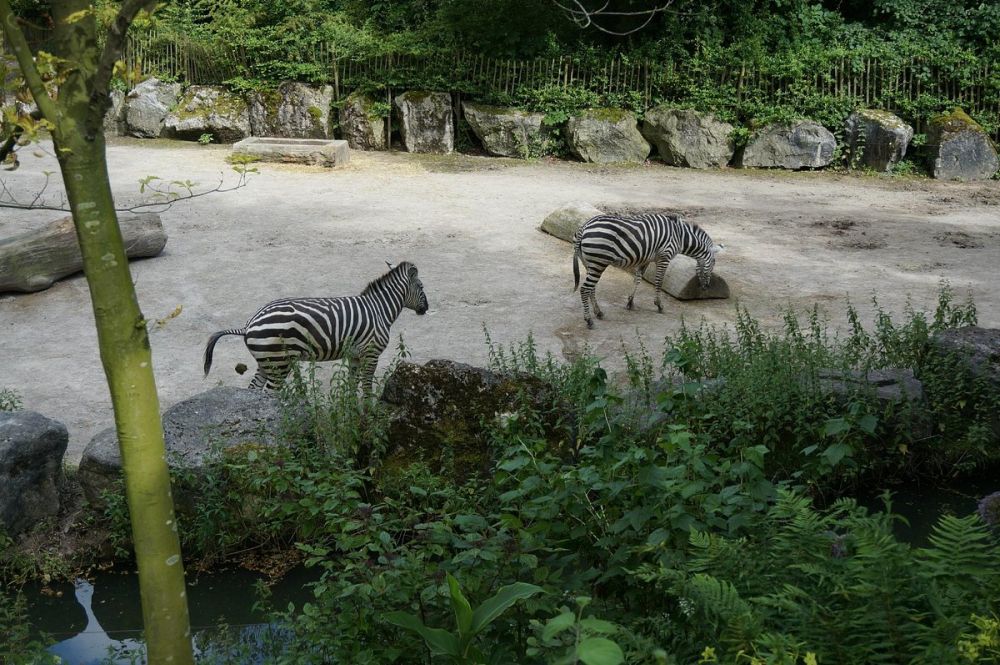 Zoo de Lille