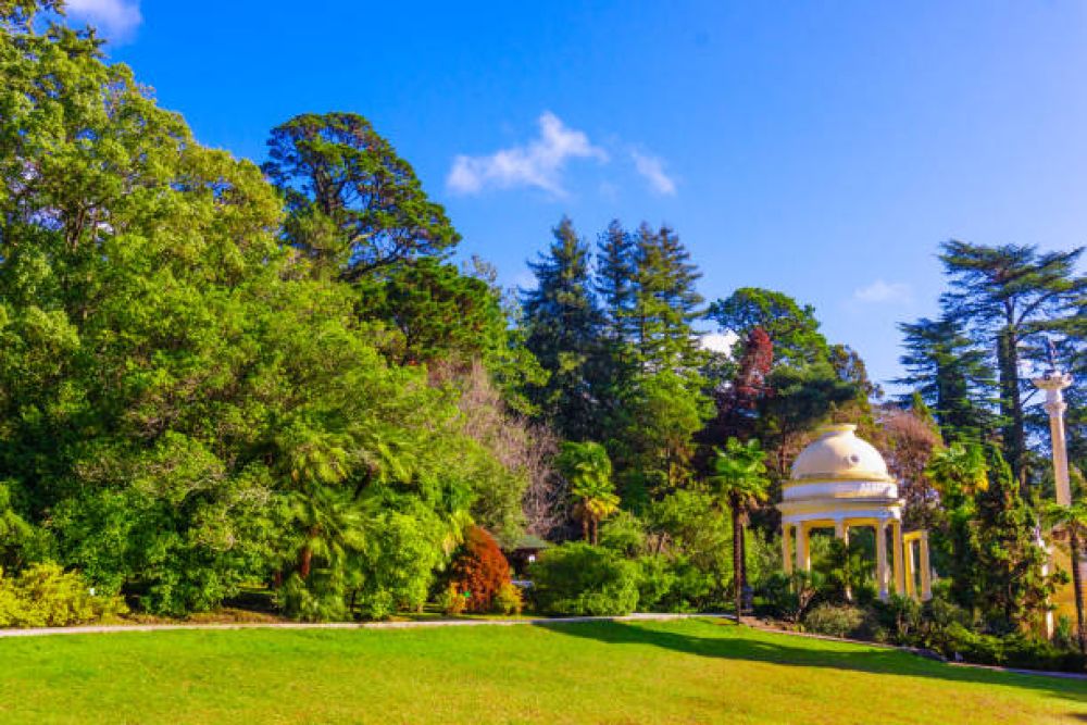 Sochi Arboretum