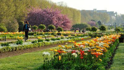 Jardin des Plantes