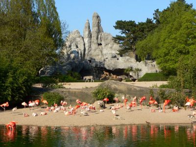 Hagenbeck Zoo