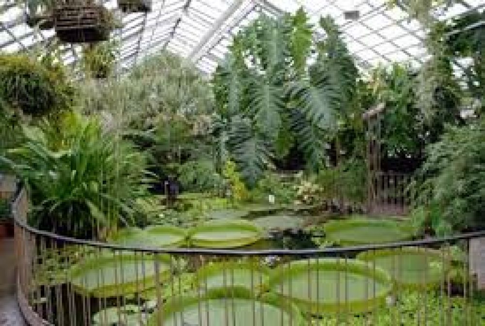 Leipzig Botanical Garden