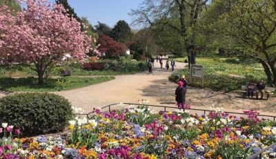 Planten un Blomen Park