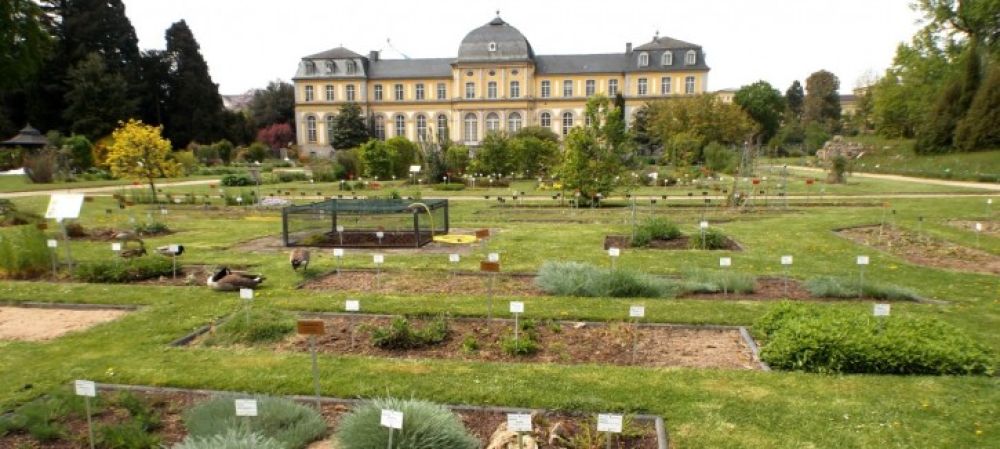 Botanical Gardens of the University of Bonn