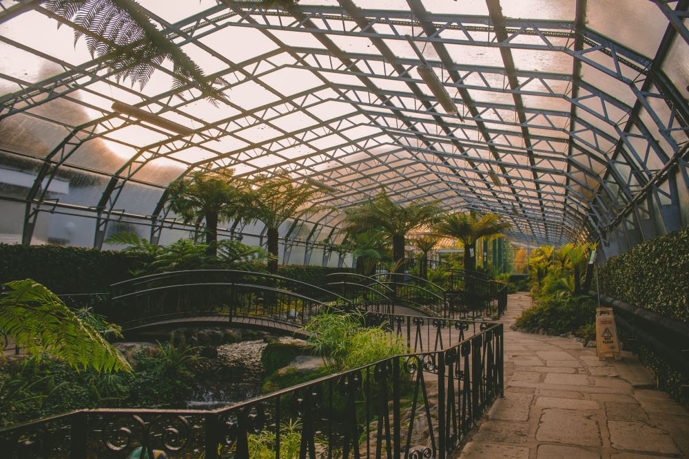 Duthie Park and David Welch Winter Gardens