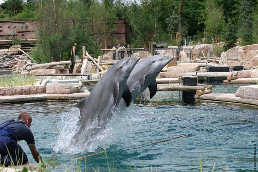 Nuremberg Zoo