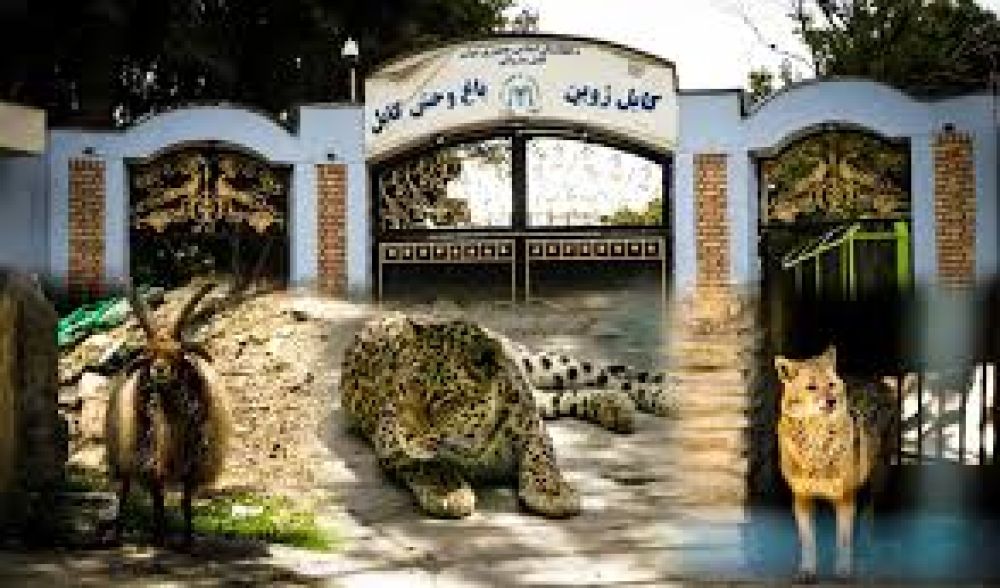 Kabul Zoo