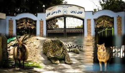 Gardens Of Babur Tourism (Kabul) (2024 - 2025) - A Complete Travel Guide