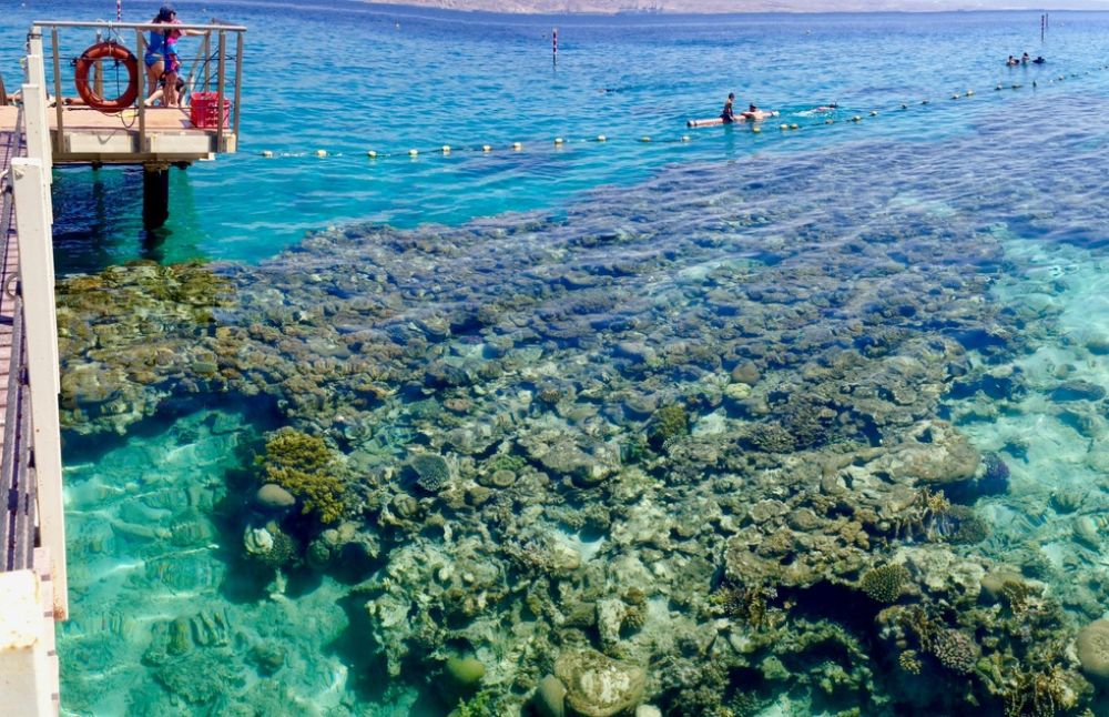 Coral Beach Nature Reserve