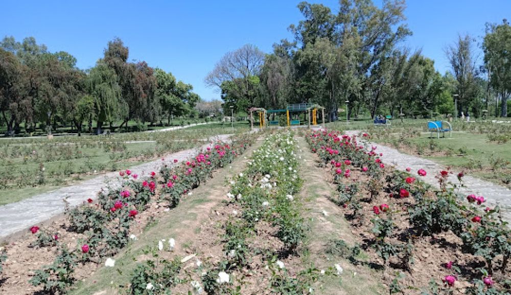 Rose and Jasmine Garden