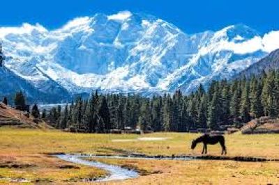 Rakaposhi View Point