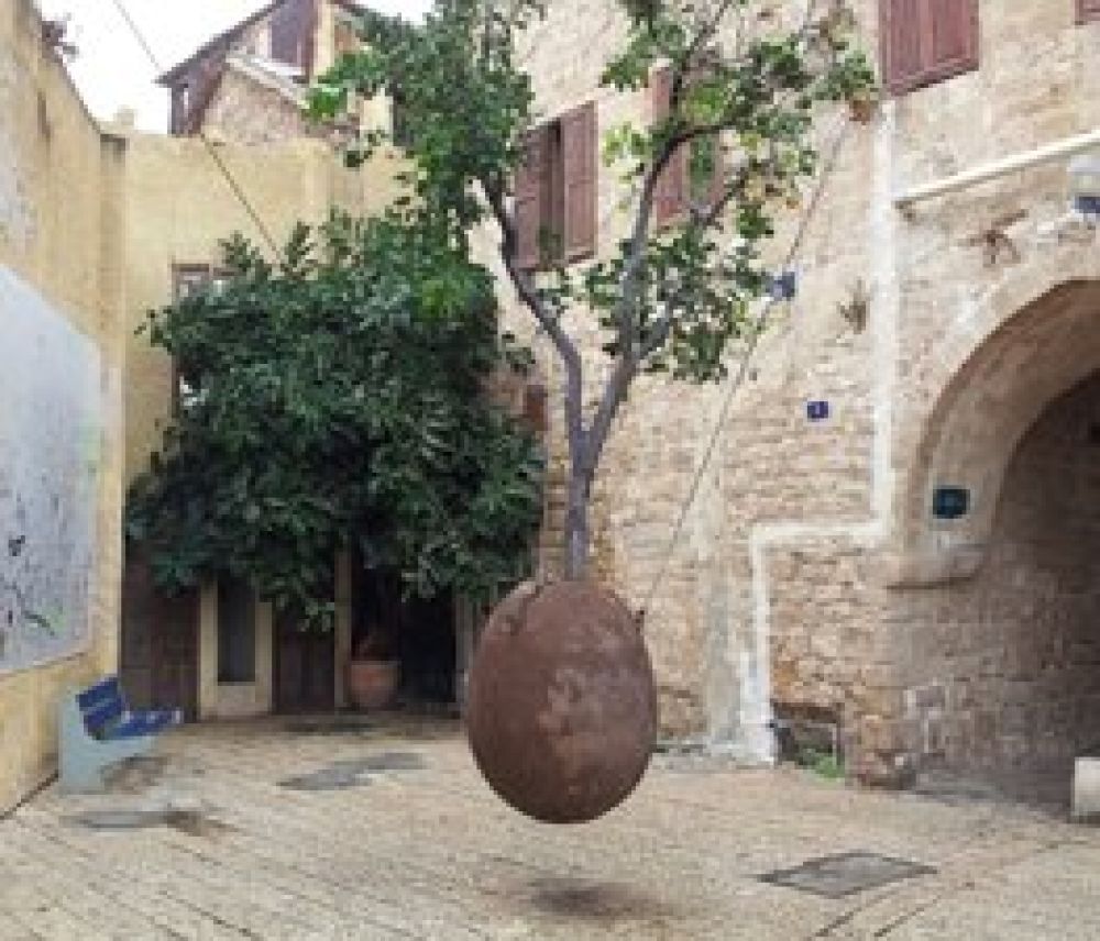 The Suspended Orange Tree